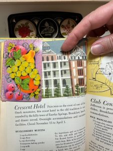 A bookmark made with two vintage fruit playing cards