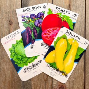 4 Different vintage illustrated vegetable seed packets for lettuce, jack bean, tomato, and squash