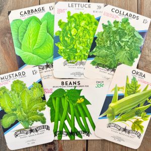6 Different illustrated vintage green vegetable seed packets